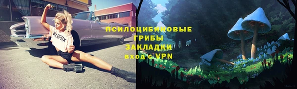 дмт Алексеевка