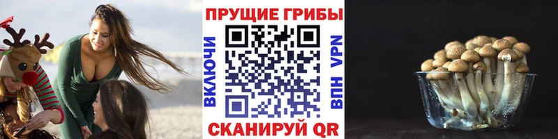 Псилоцибиновые грибы ЛСД Соликамск