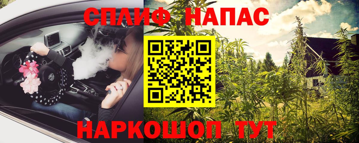 Бошки Шишки планчик  Конопля семена  Шишки марихуана семена  Каннабис THC 21%  Вход с VPN  Соликамск 